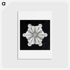 アートポストカード-Wilson Bentley's Snowflake 976 - ウィルソン ベントレー Postcard.