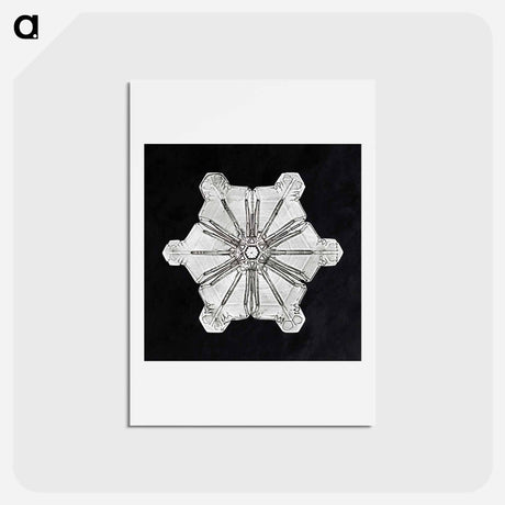 アートポストカード-Wilson Bentley's Snowflake 976 - ウィルソン ベントレー Postcard.
