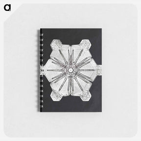 アートメモ帳-Wilson Bentley's Snowflake 976 - ウィルソン ベントレー Memo.