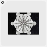 アートポストカード-Wilson Bentley's Snowflake 976 - ウィルソン ベントレー Postcard.