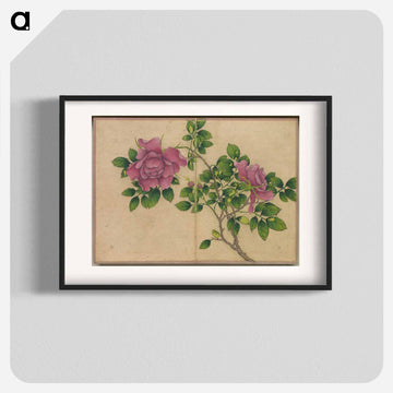 Rose - Zhang Ruoai Poster.