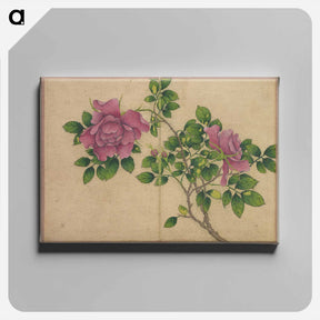 アートパネル-Rose - 張若愛 Canvas.