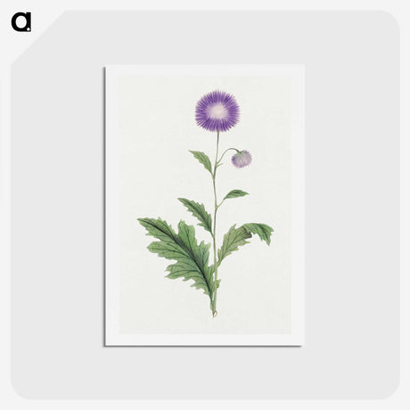 1-12_19th-Century-Japanese-Flowers_hagaki