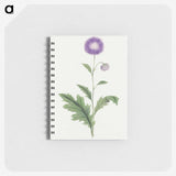 1-12_19th-Century-Japanese-Flowers_memo