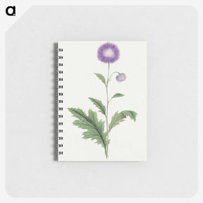 1-12_19th-Century-Japanese-Flowers_memo