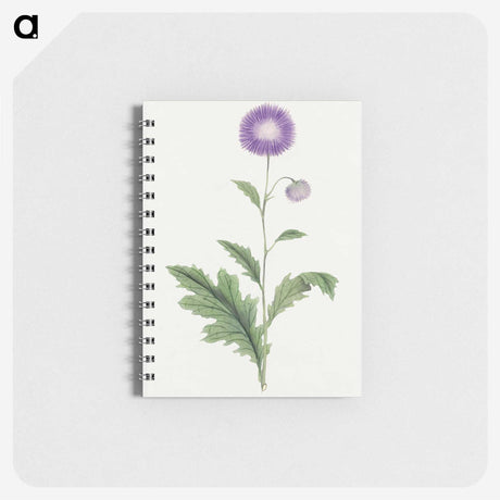 1-12_19th-Century-Japanese-Flowers_memo
