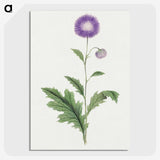 1-12_19th-Century-Japanese-Flowers_picture-crop