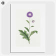 1-12_19th-Century-Japanese-Flowers_picture