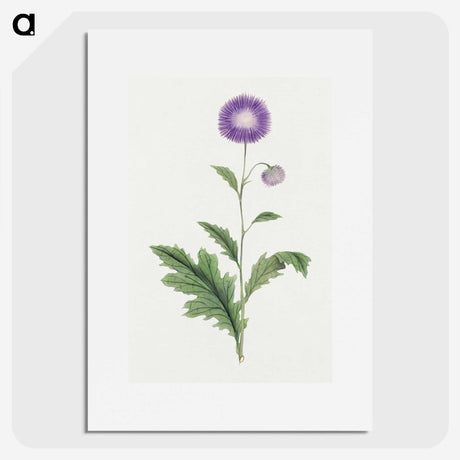 1-12_19th-Century-Japanese-Flowers_picture