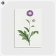 1-12_19th-Century-Japanese-Flowers_postcard