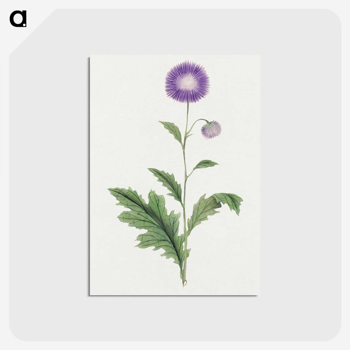 1-12_19th-Century-Japanese-Flowers_postcard