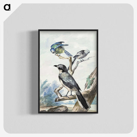 1-12_Aert-Schouman_blk-crop