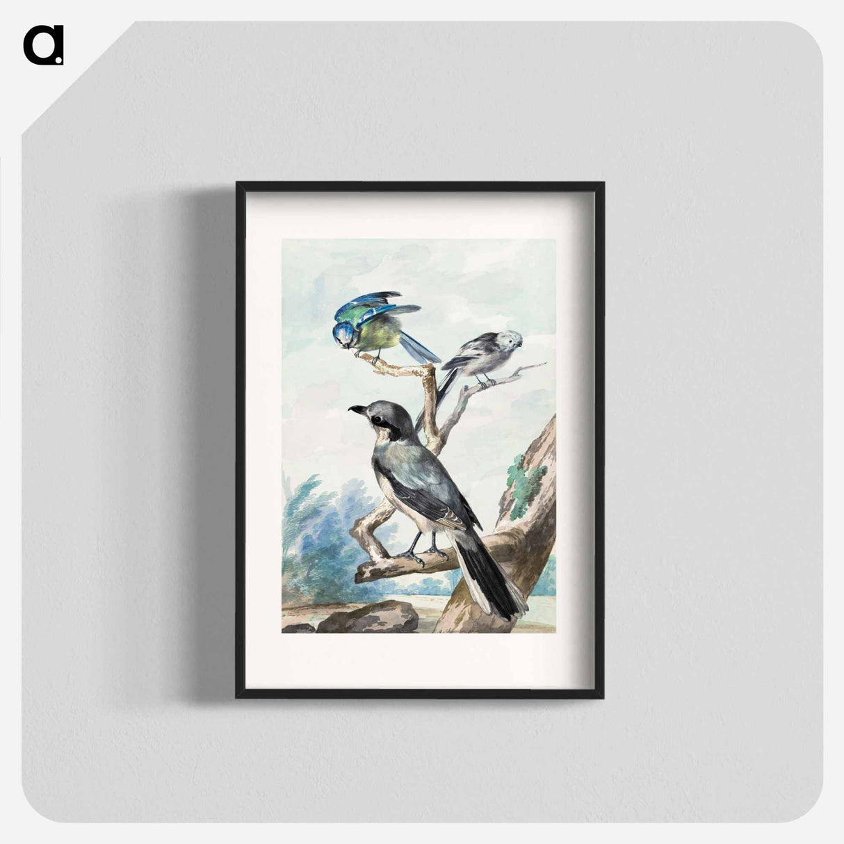 Three birds: a Long-tailed Tit, a Blue Tit and a Great Gray Shrike - アールト シューマン Poster.
