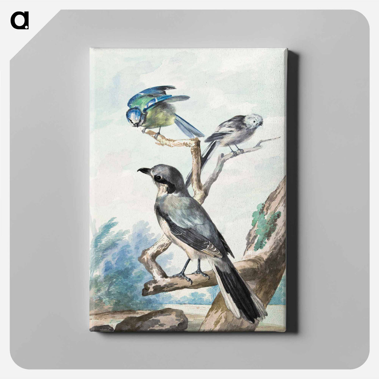Three birds: a Long-tailed Tit, a Blue Tit and a Great Gray Shrike - アールト シューマン Canvas.