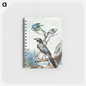 アートメモ帳-Three birds: a Long-tailed Tit, a Blue Tit and a Great Gray Shrike - アールト シューマン Memo.