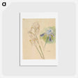 アートポストカード-Flower studies - アルバート エーデルフェルト Postcard.