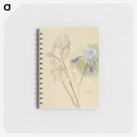 1-12_Albert-Edelfelt_memo