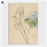 1-12_Albert-Edelfelt_picture-crop