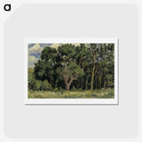 1-12_Alfred-William-Finch_hagaki