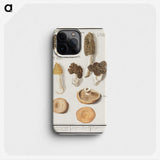1-12_Anselmus-Boetius-de-Boodt_phone