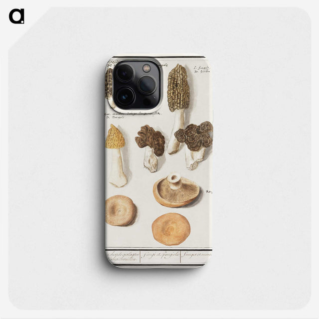 1-12_Anselmus-Boetius-de-Boodt_phone