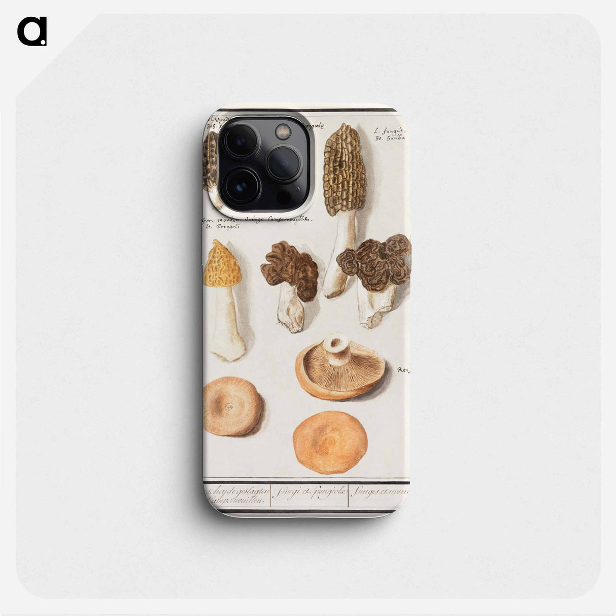 Morels, Morchella - アンセルムス ボエティウス デ ブート Phone Case.