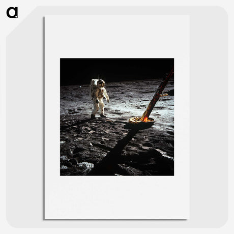 1-12_Apollo-Moon-Landing_picture