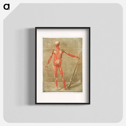This fascinating collection of anatomical illustrations - アルノルド エロイ ゴーティエ ダゴティ Poster.