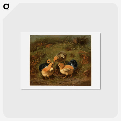 1-12_Arthur-Fitzwilliam-Tait_hagaki