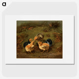 1-12_Arthur-Fitzwilliam-Tait_picture