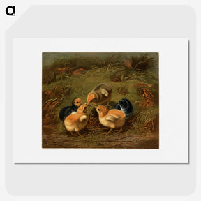 1-12_Arthur-Fitzwilliam-Tait_picture