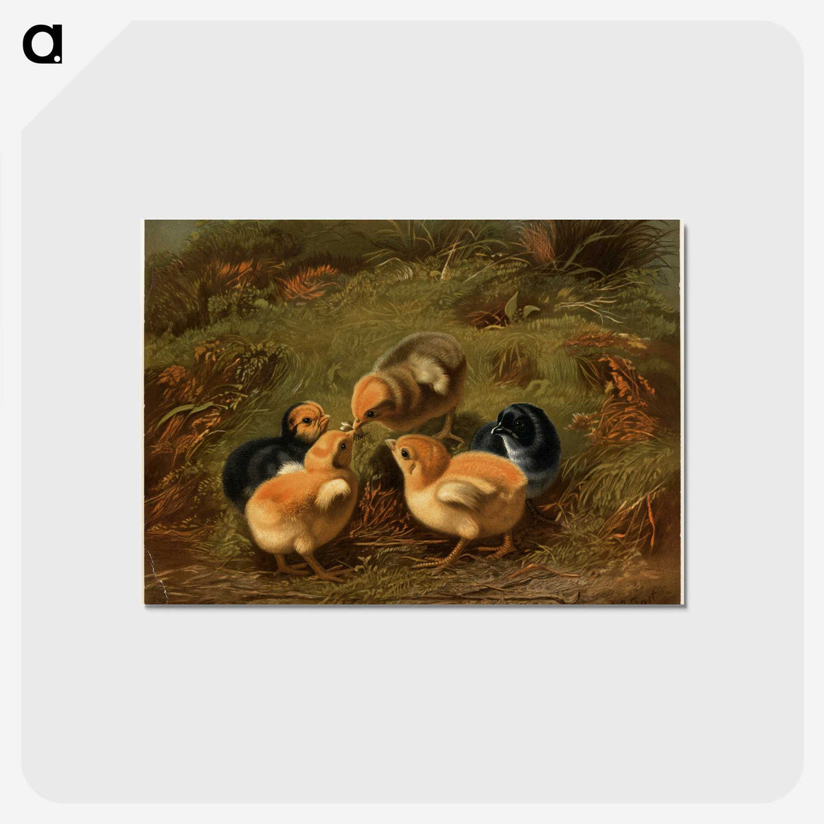1-12_Arthur-Fitzwilliam-Tait_postcard