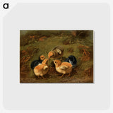 1-12_Arthur-Fitzwilliam-Tait_postcard