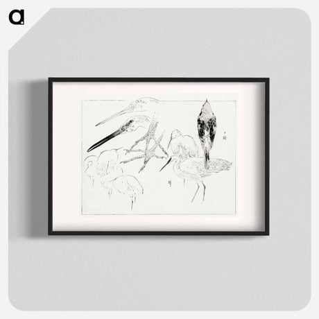 アートポスター-Little Egret and Daurian Redstart
 - 美術世界 Poster.