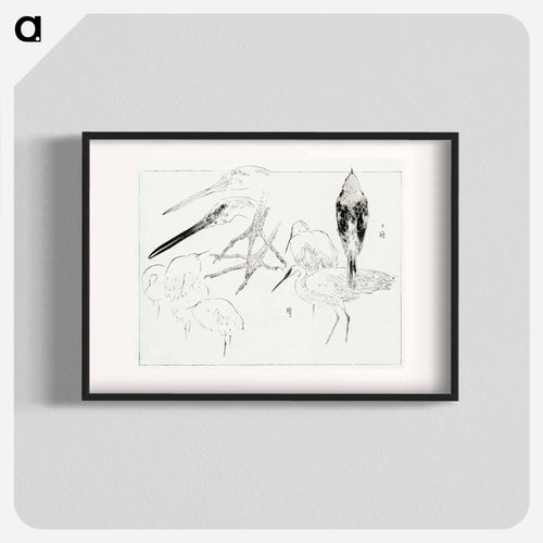 Little Egret and Daurian Redstart
 - 美術世界 Poster.