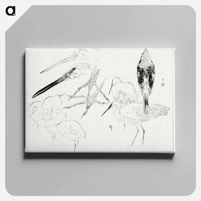 アートパネル-Little Egret and Daurian Redstart
 - 美術世界 Canvas.