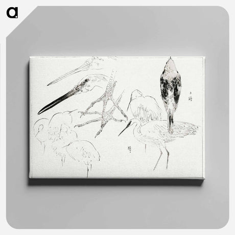アートパネル-Little Egret and Daurian Redstart
 - 美術世界 Canvas.
