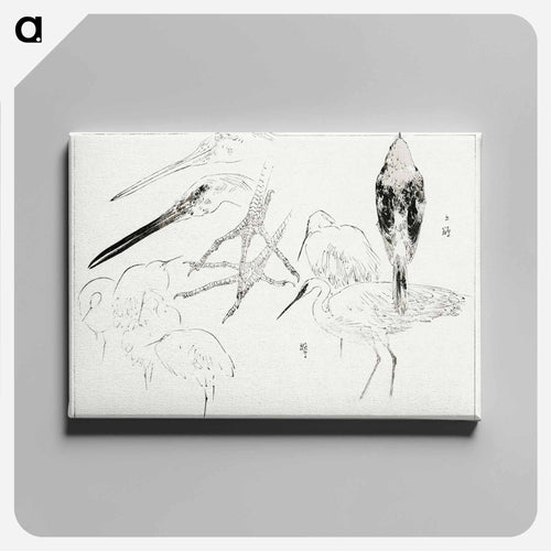 Little Egret and Daurian Redstart
 - 美術世界 Canvas.