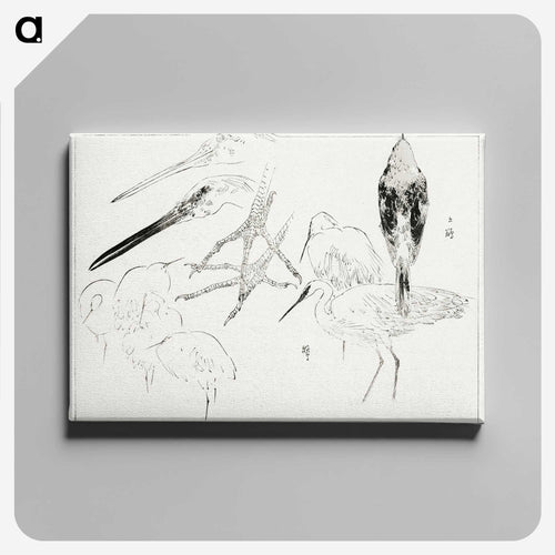 スケッチ - 美術世界 Canvas.