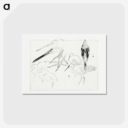 スケッチ - 美術世界 Postcard.