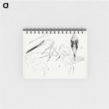 アートメモ帳-Little Egret and Daurian Redstart
 - 美術世界 Memo.