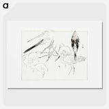アートポスター-Little Egret and Daurian Redstart
 - 美術世界 Poster.
