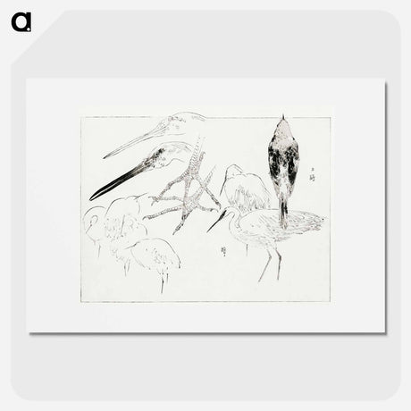 アートポスター-Little Egret and Daurian Redstart
 - 美術世界 Poster.