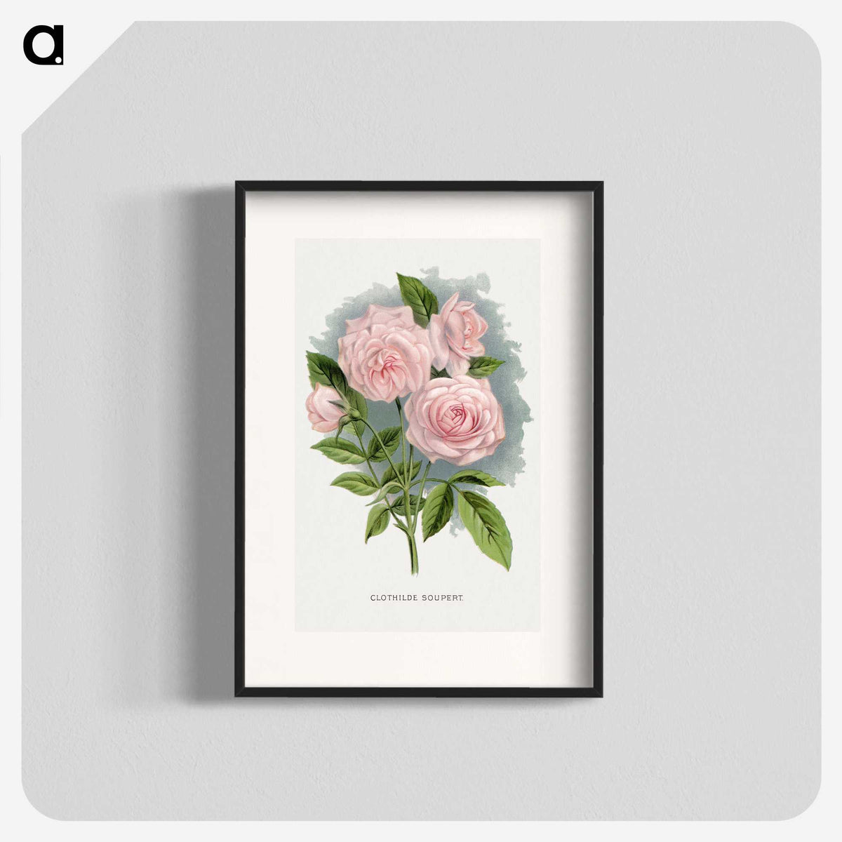 1-12_Botanical-Specimen-Plates_blk