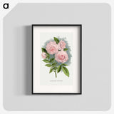 1-12_Botanical-Specimen-Plates_blk