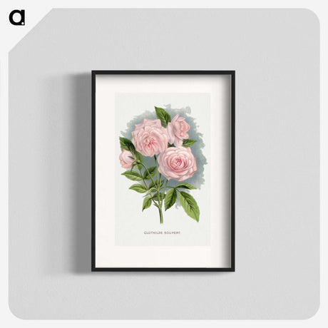 1-12_Botanical-Specimen-Plates_blk