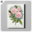 1-12_Botanical-Specimen-Plates_canvas