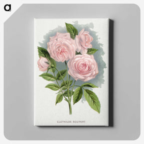 1-12_Botanical-Specimen-Plates_canvas