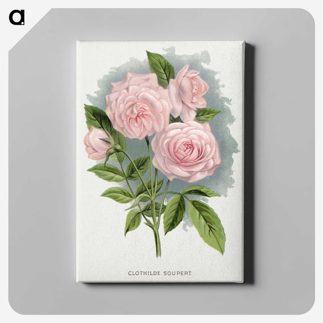 1-12_Botanical-Specimen-Plates_canvas
