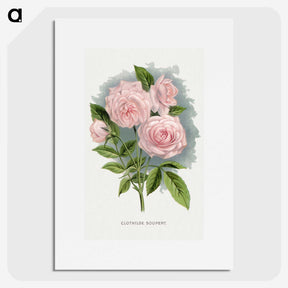 1-12_Botanical-Specimen-Plates_picture
